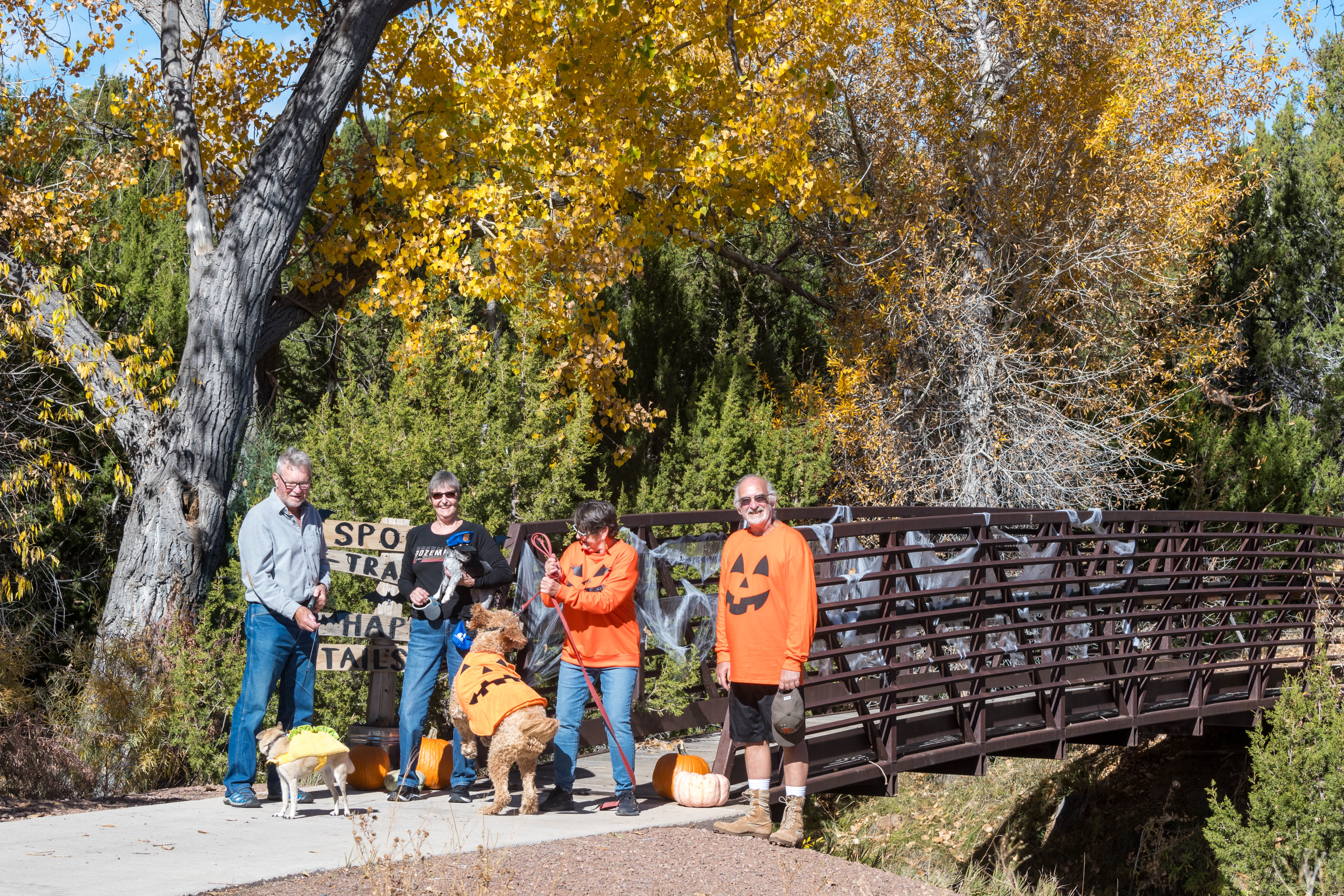 A group of people and their dogs dressed as pumpkins walking on a trail.