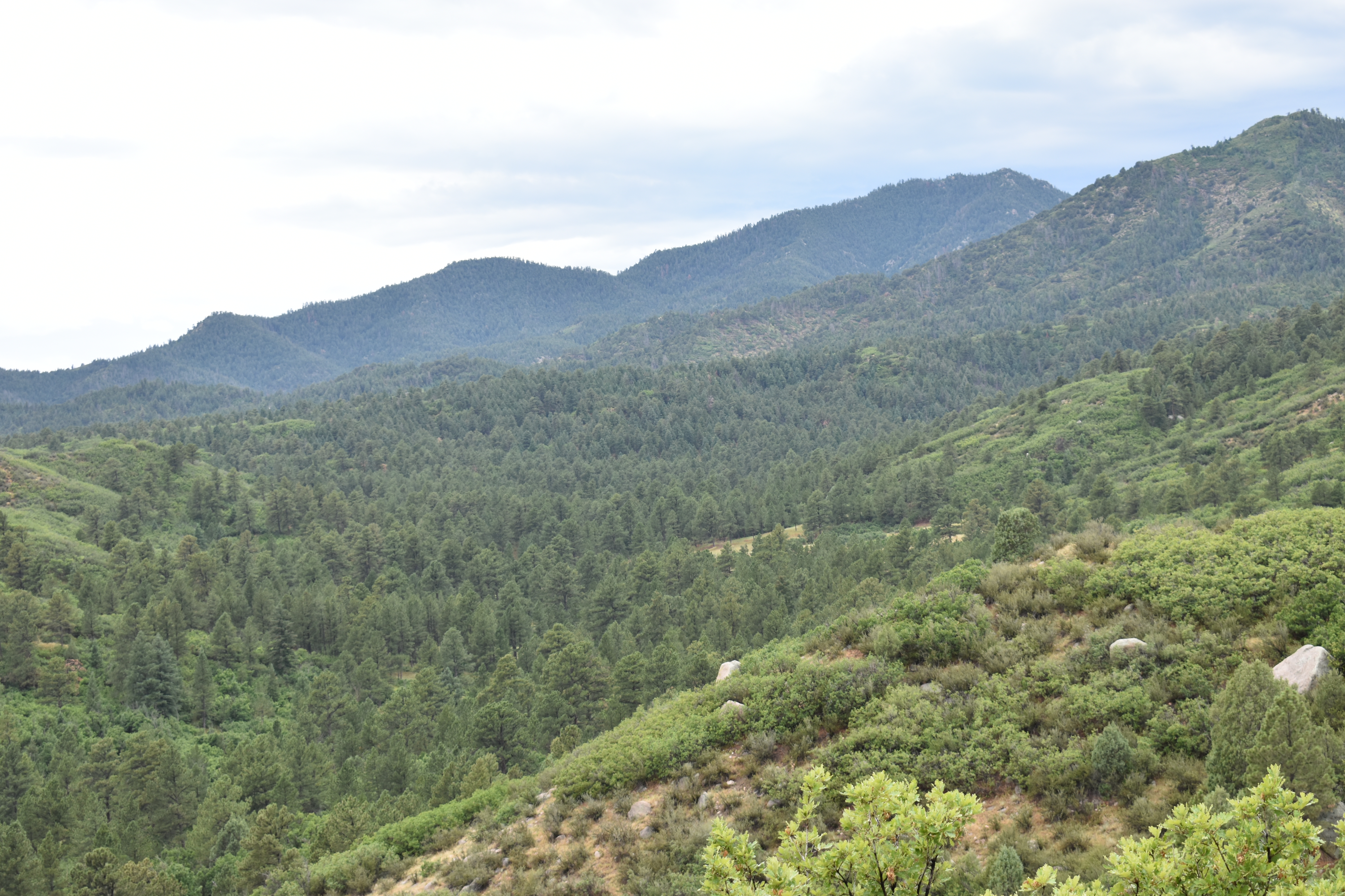 The photo shows the view from the prairie skipper pavillion looking to the south.