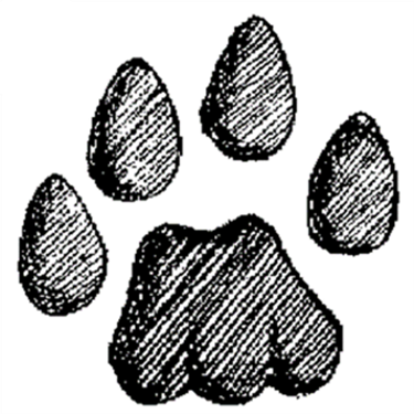 2026 Year of the Otter Campaign -