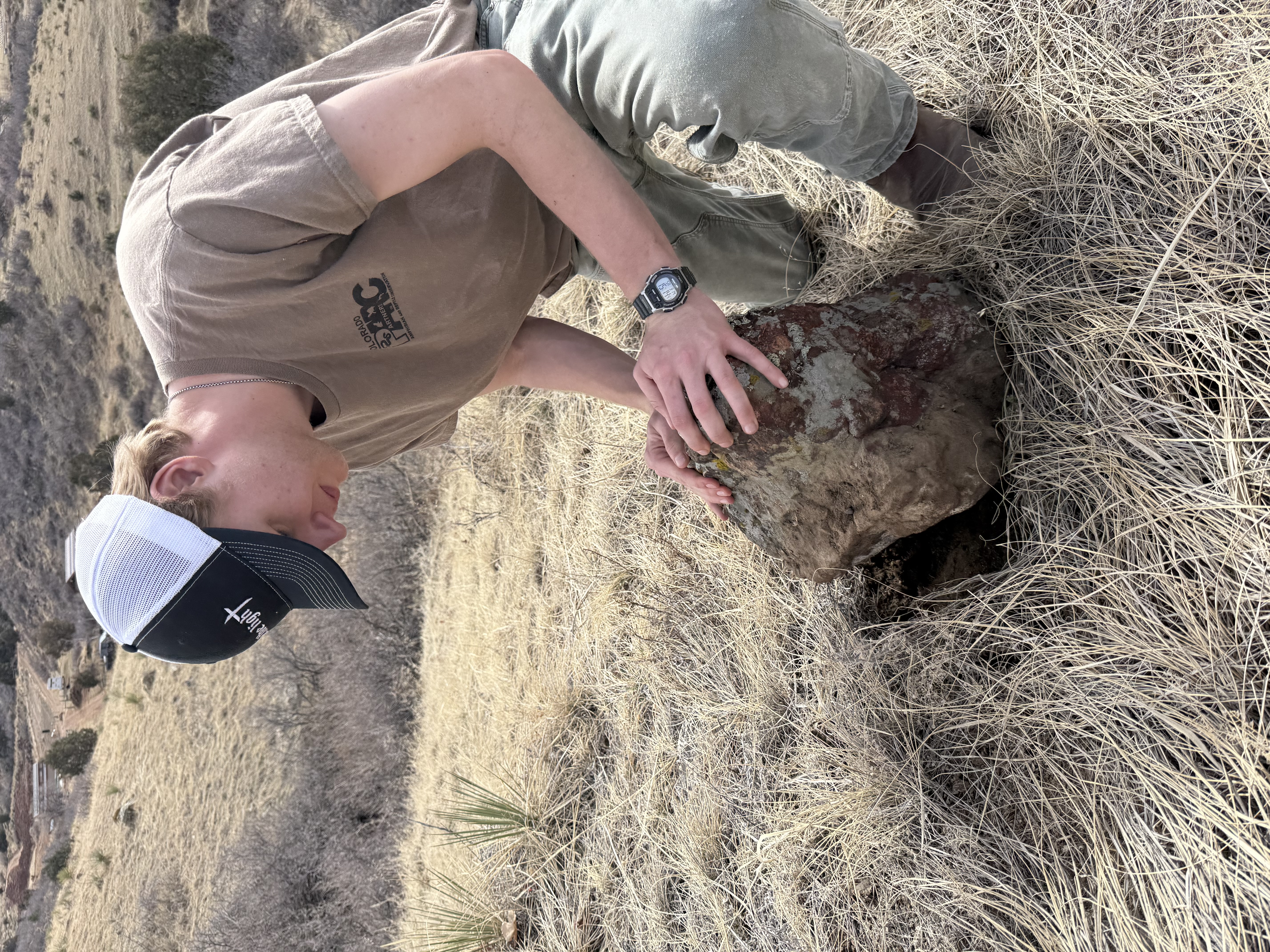 Living with Herpetofauna - Herping in Action