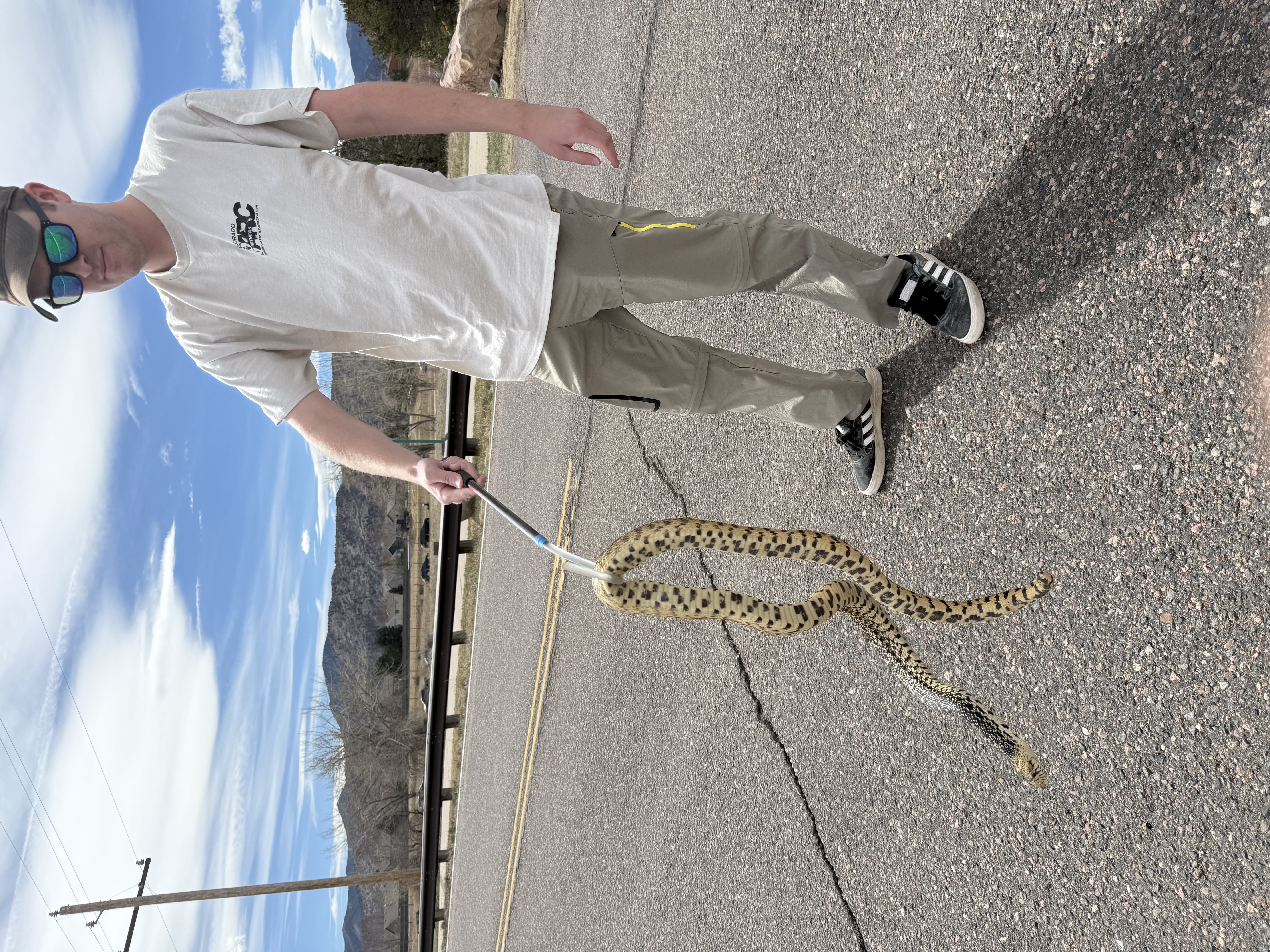 Living with Herpetofauna - Herping in Action