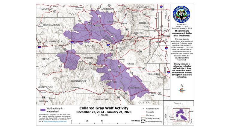 Monthly Collared Wolf Activity Area Map - December 22, 2024 - January 21, 2025