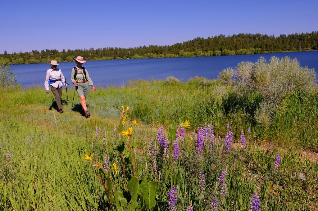 Two women walk on trail with reservoir in the background and purple flowers in the foreground