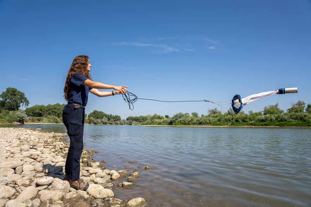 Invasive Species Specialist Maddie Baker throws a plankton tow into the Colorado River