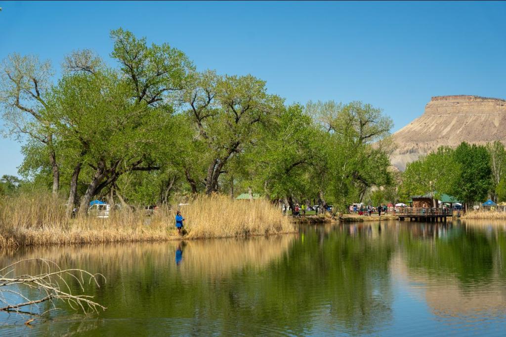 A person fishes in a lake with trees and Mount Garfield in the background
