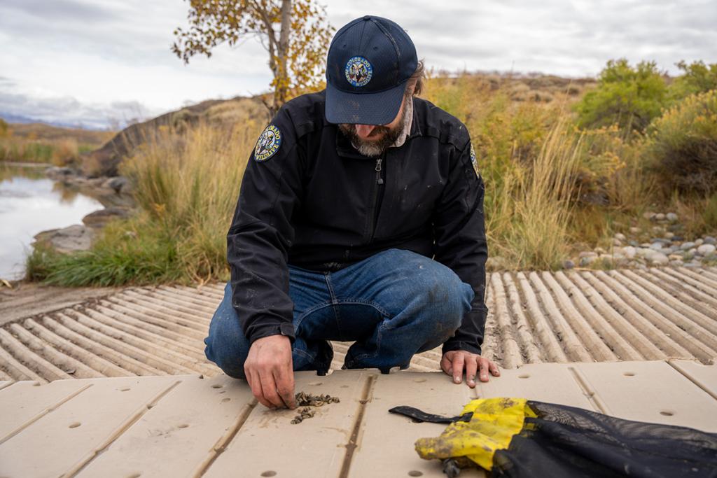 Dressed in a CPW navy blue jacket and hat, Invasive Species Program Manager Robert Walters investigates an invasive species sample at the Highline Lake boat ramp.