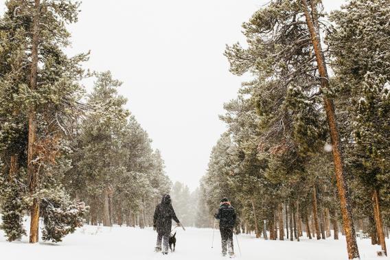 Two people hike with snowshoes on a snowy trail.