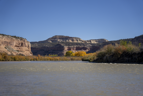 The Colorado River west of Grand Junction
