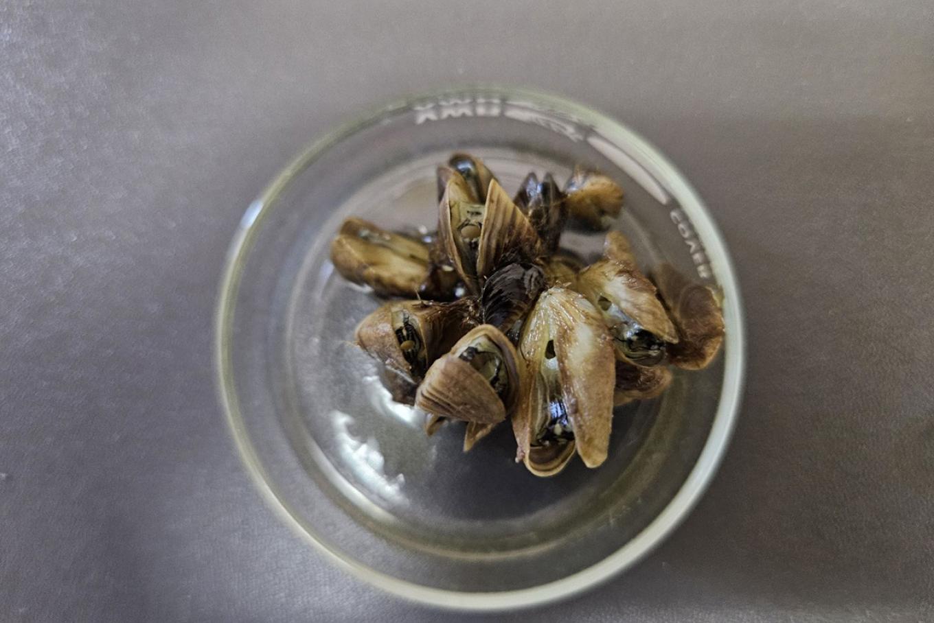 Increased sampling efforts result - 9a2955d5 6c3a 8b35 0fb7 157037ec551c 