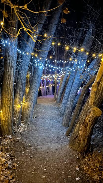 Barr Lake Main trail with Lights