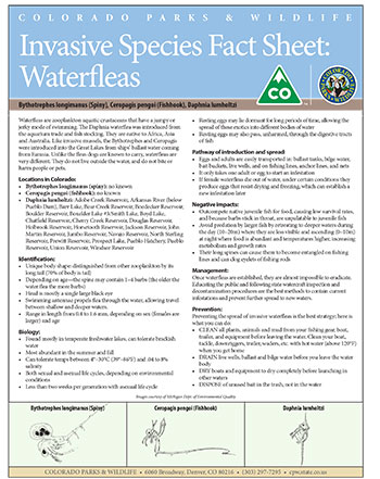 Waterfleas fact sheet cover
