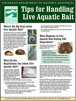 Tips for Handling Live Aquatic Bait Cover