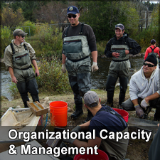 Organizational Capacity and Management