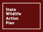State Wildlife Action Plan
