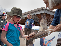 A girl touches golden eagle feathers at a Castlewood Canyon event.
