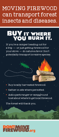 Buy it where you burn it: Moving firewood can transport problem insects and diseases flyer.
