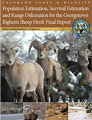 Bighorn Sheep Report Cover