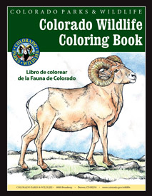 Cover of the Colorado Wildlife Coloring Book