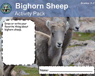 Thumbnail cover image of Bighorn Sheep K-2 PDF