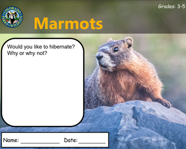 Thumbnail cover image of Marmot Grade 3-5 PDF