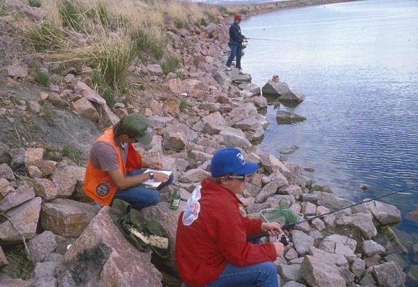 Angler creel surveys