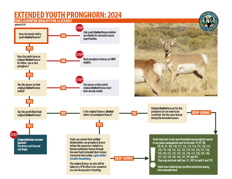 Extended Youth Pronghorn