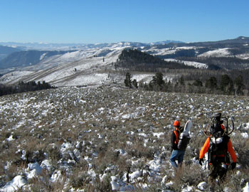 High Country Hunting