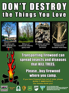 Don't Destroy the Things You Love firewood image