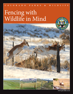 Cover image of Fencing with Wildlife in Mind