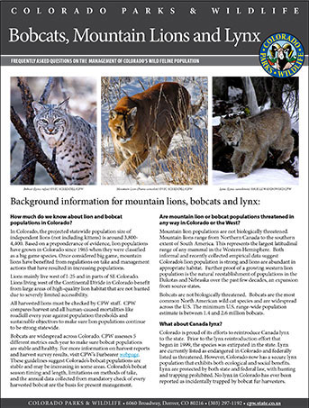 Bobcats, Lion and Lynx FAQ cover