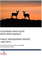 Public Engagement Report Cover
