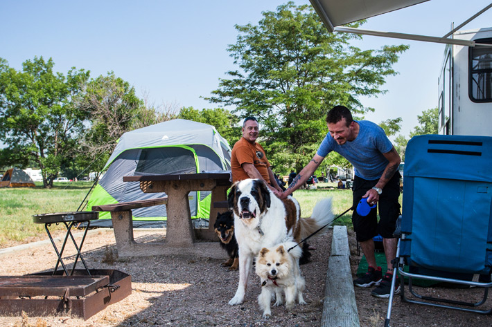 Two men and three dogs at campground