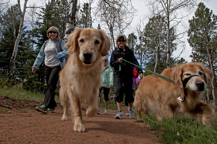 a family of hikers with two golden retriever dogs