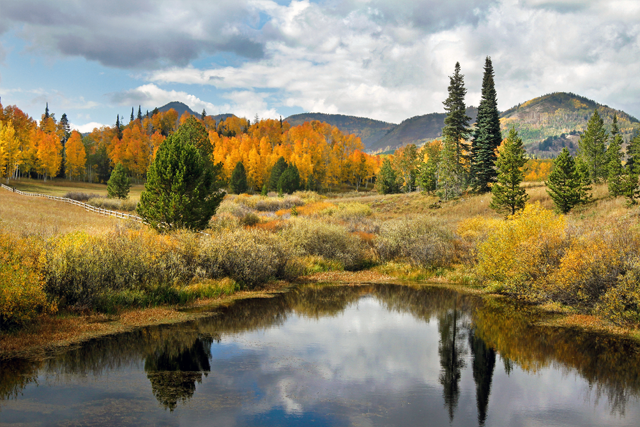 A confetti of fall colors at Steamboat Lake State Park.
