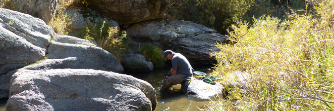 Man gold panning in creek