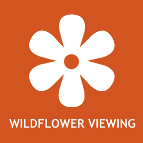 Spring wildflower viewing information.