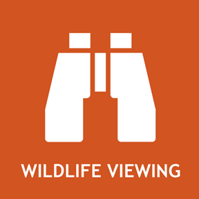 Wildlife viewing information and events.