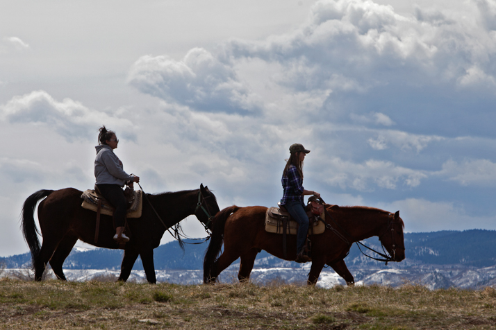 Horseback Riding in Chatfield State Park