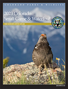 Small Game and Waterfowl brochure - Opens in new tab