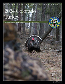 Turkey Brochure cover