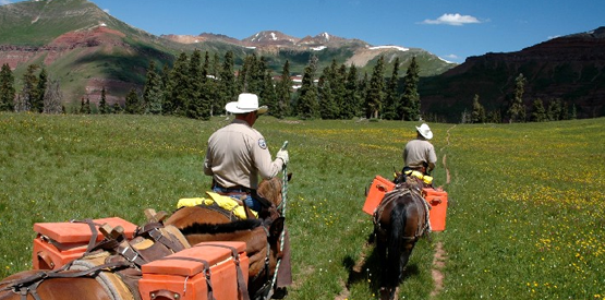 Colorado Parks & Wildlife Officers