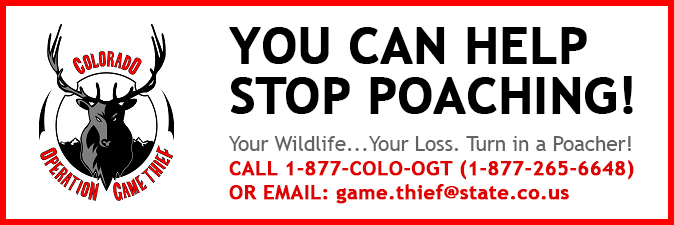 Report poaching anonymously to Operation Game Thief.