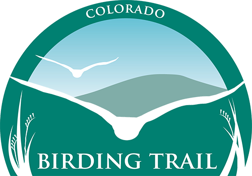 Colorado Birding Trail Logo