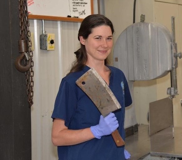 Dr Fox holding a cleaver used to remove brains from wildlife carcasses for rabies testing