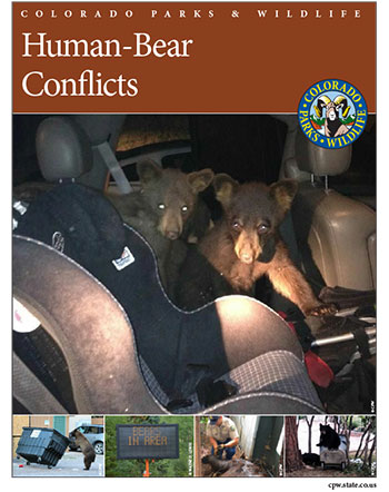 Cover of human-bear conflicts brochure
