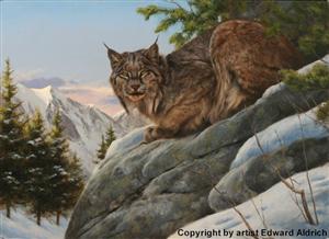 "Silent Predator" lynx art print by Edward Aldrich