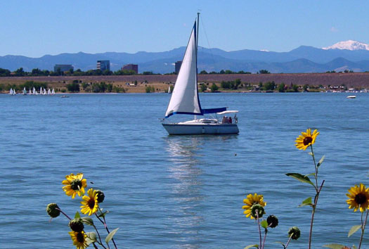 Sailboat and sunflowers