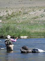 Fly fishing on the Dream Steam
