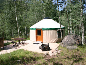 Yurt in wooded area