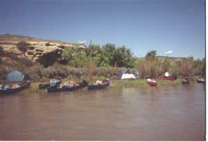 Boats docked in Duffy Canyon 